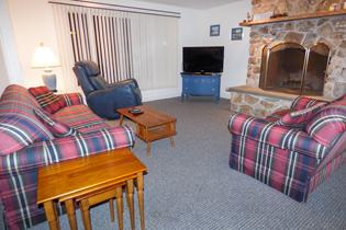 living room with tv and fireplace